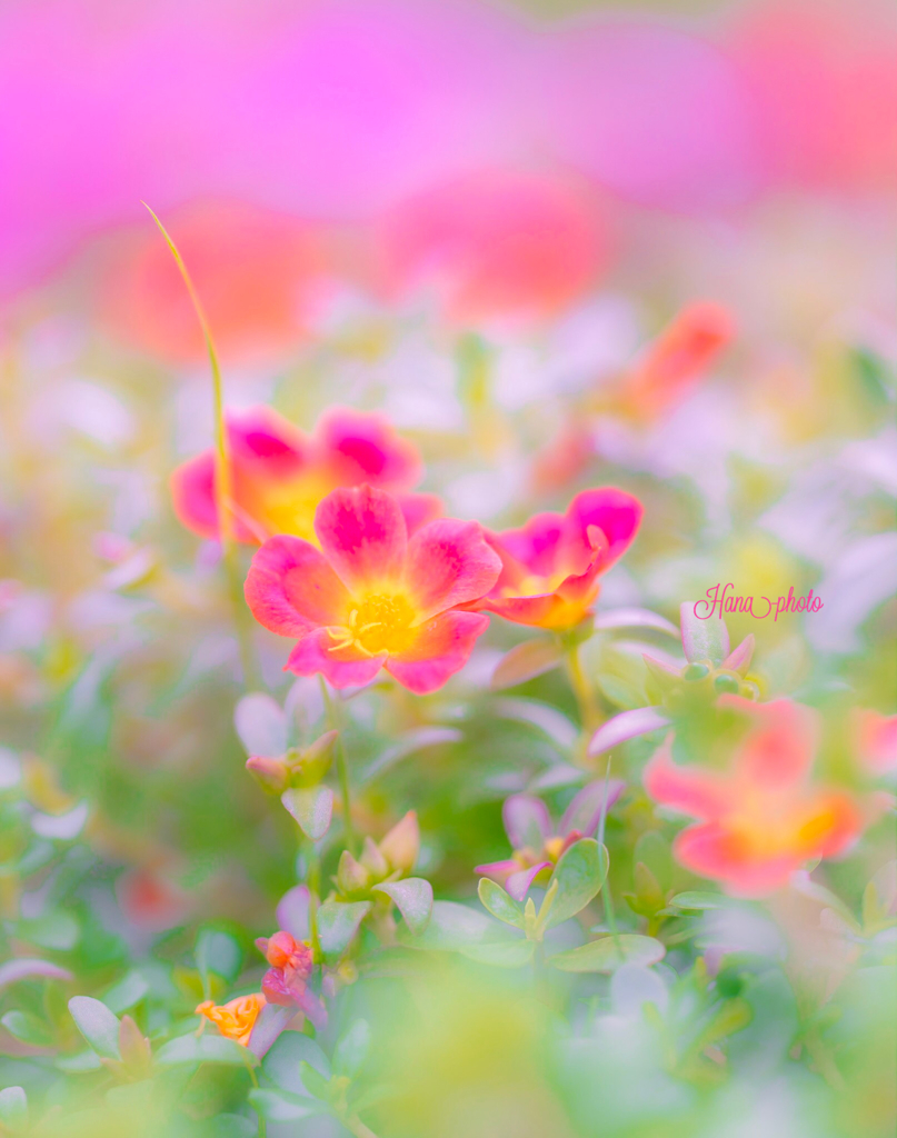 vivid