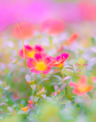 vivid