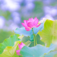 空に向かって