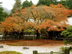 雷山千女寺大悲王院1