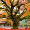 雷山千女寺大悲王院2
