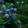 夕暮れ時