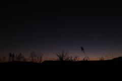 夕焼け