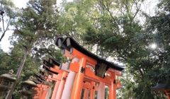 補色の関係