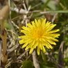 59