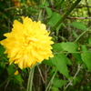 80