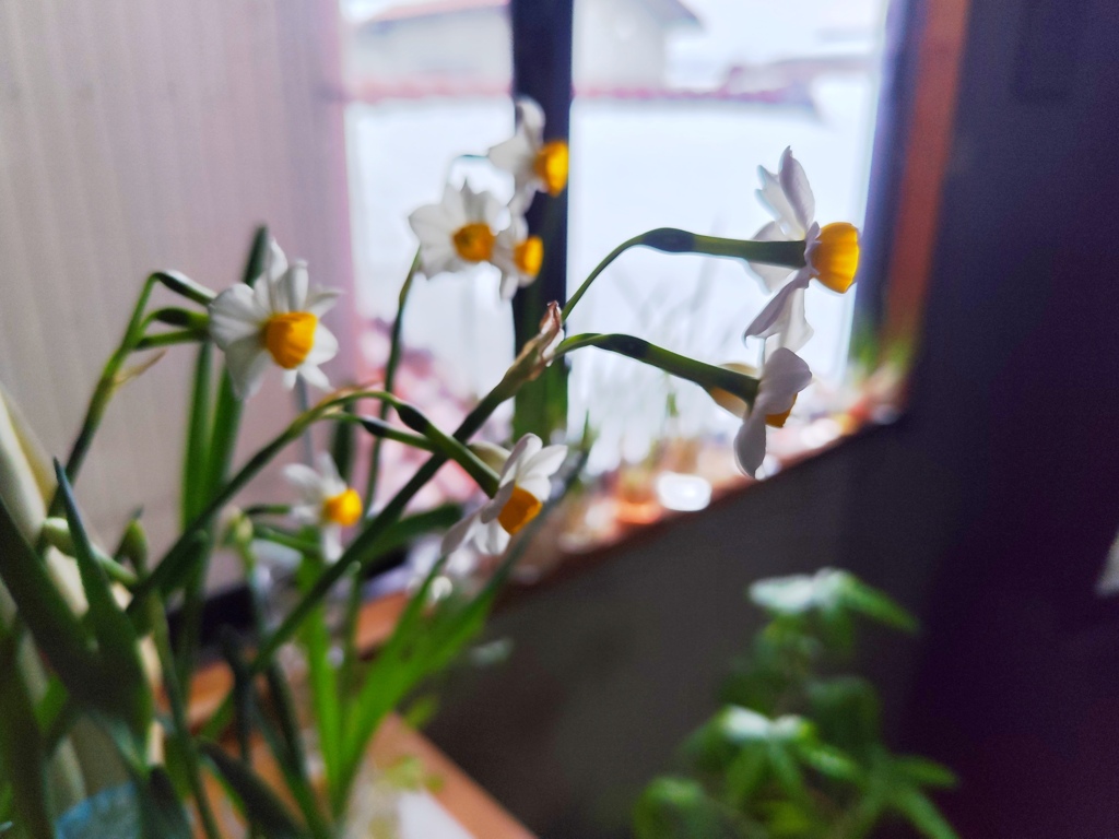 今年の冬は長い