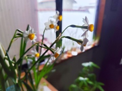 今年の冬は長い