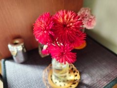 赤菊とコースター