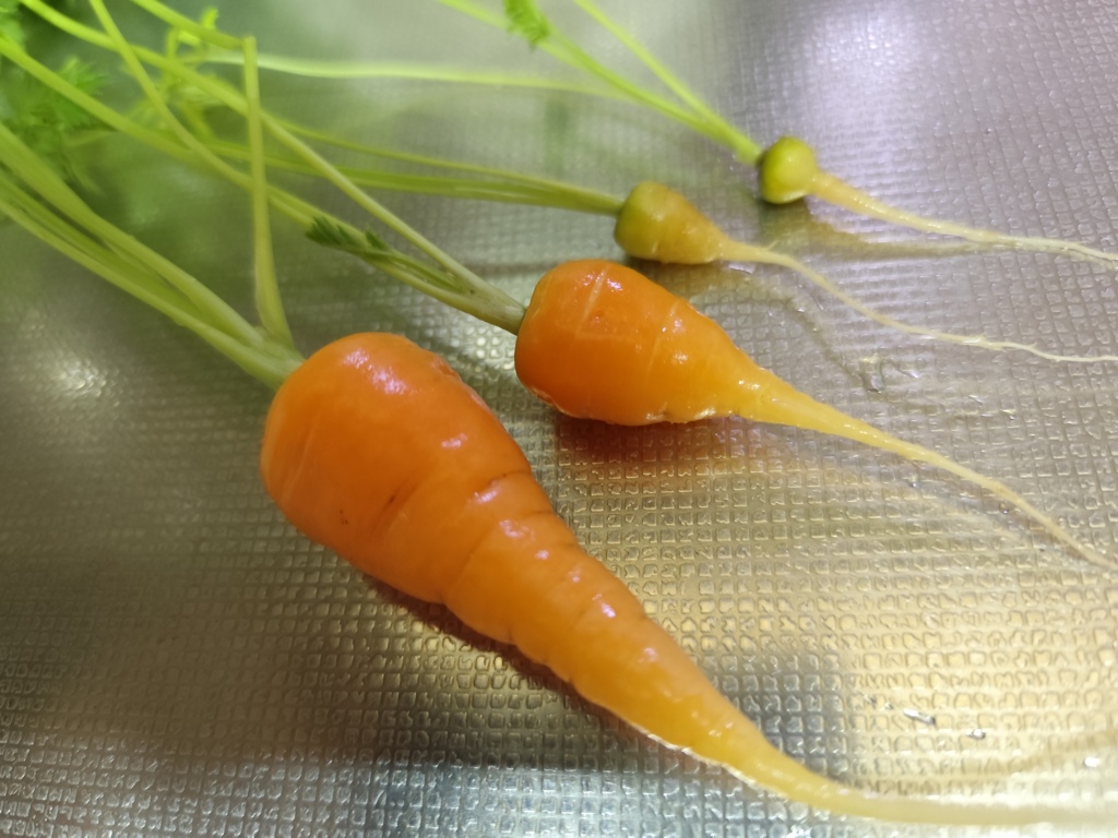 引き抜いて洗って