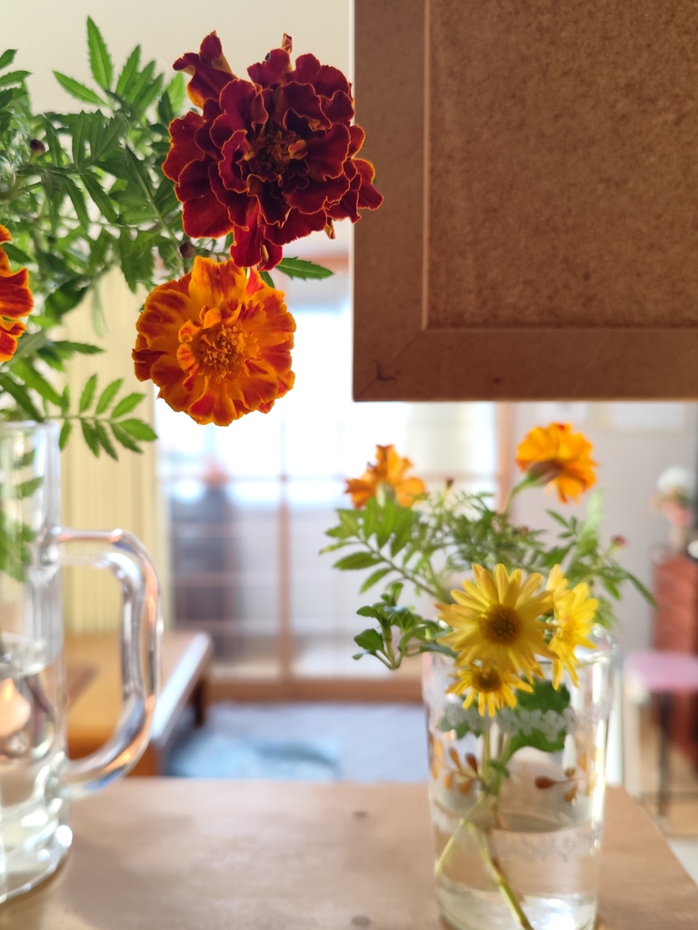 コップにマリーゴールドと小菊