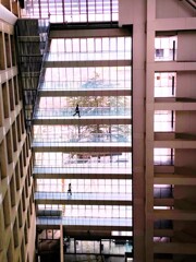 窓