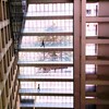 窓