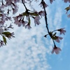 青空が清々しかった