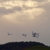 ７羽帰る空