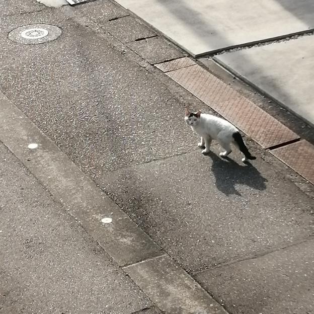 家前、通過中〜