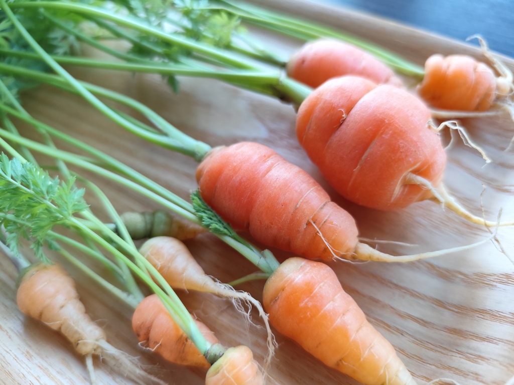 丸くて太くて短いのが…ひとつ