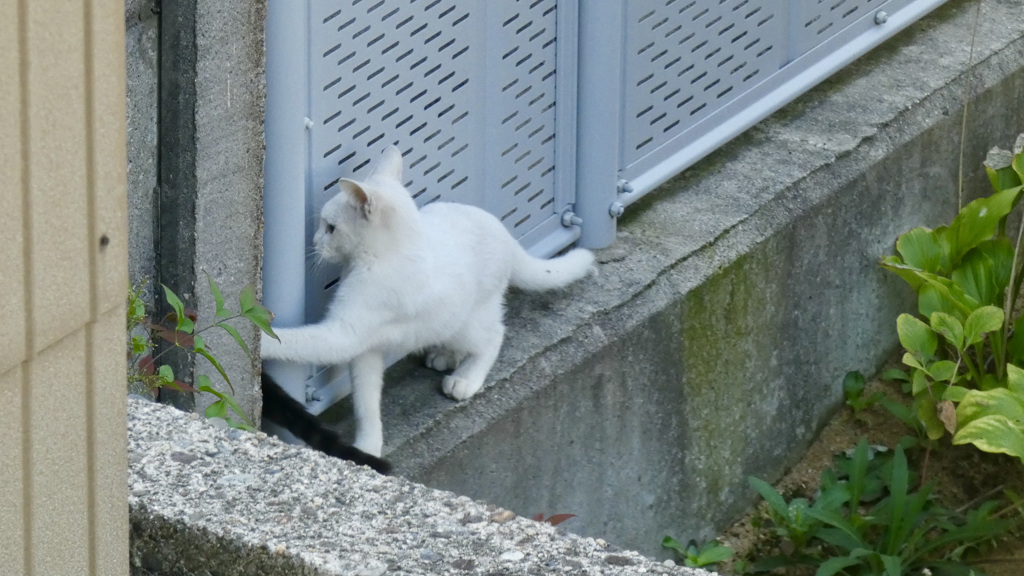 まだ〜？子供時代