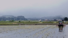 小雨けぶる午後