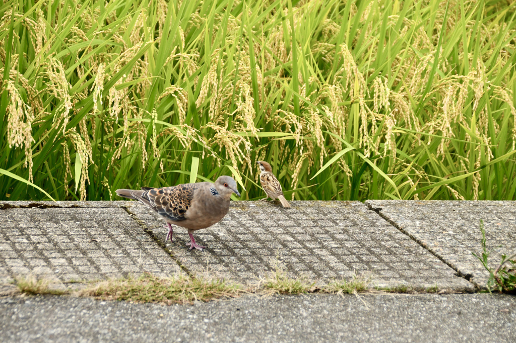 さ、次に行くよ〜♪