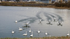 ダッシュして来ました(笑)