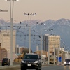 富山大橋より