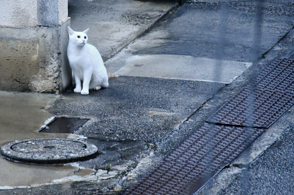 しばし空を見る