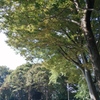 秋の入口