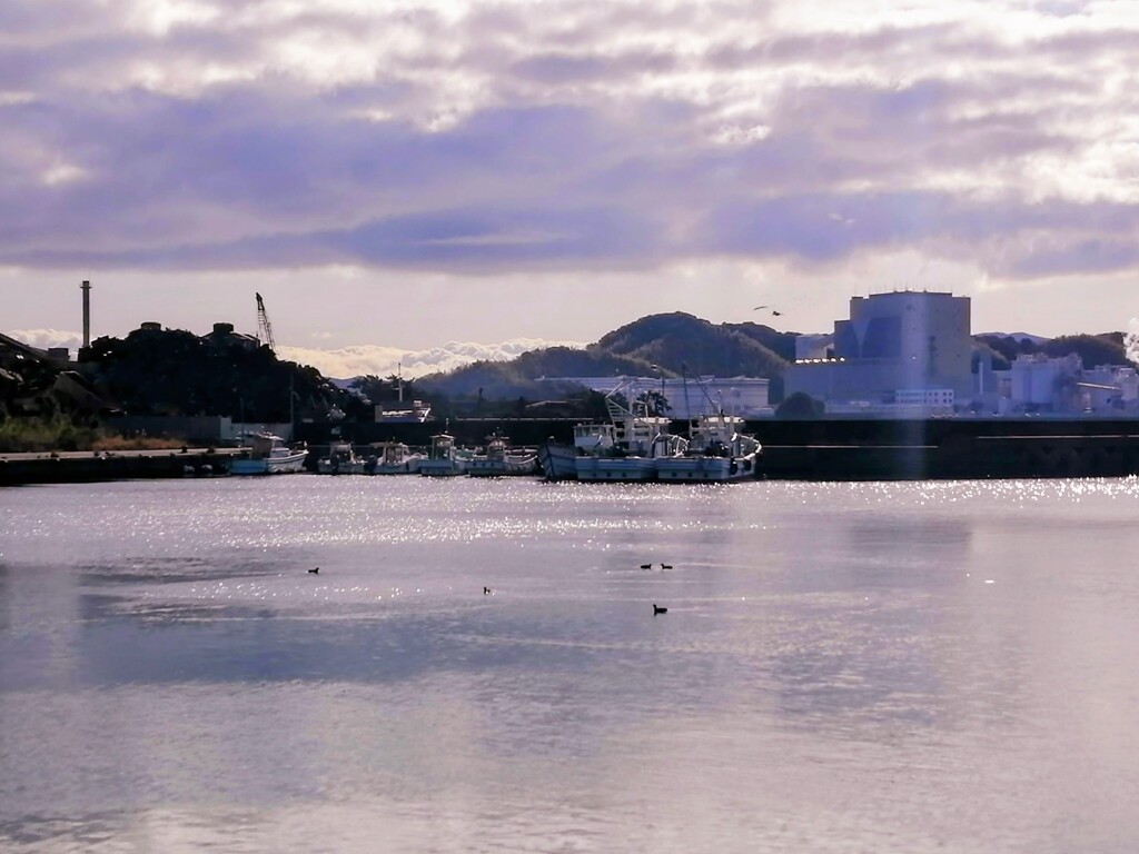 港