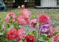 雨の日に