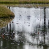 降り出した雨