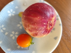 やっと２個目を収穫