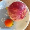 やっと２個目を収穫