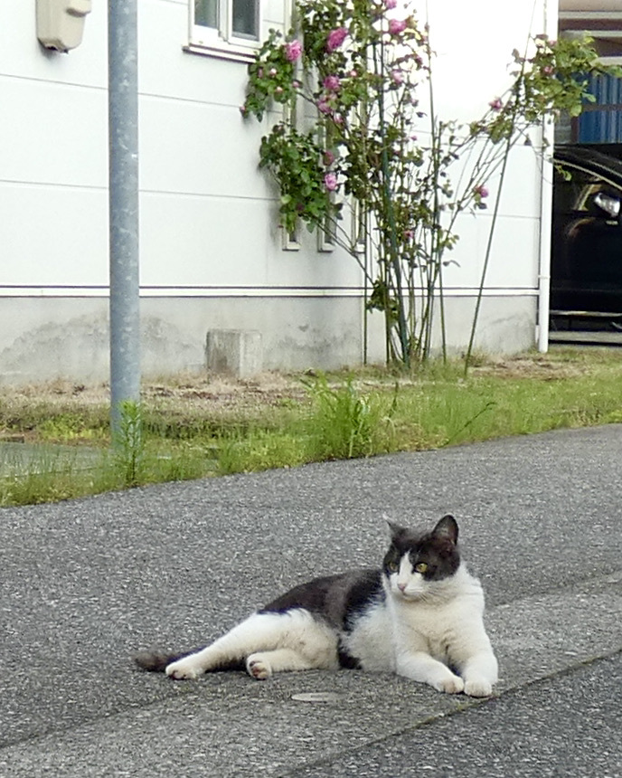 強くなったかな。
