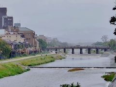 雨の京都