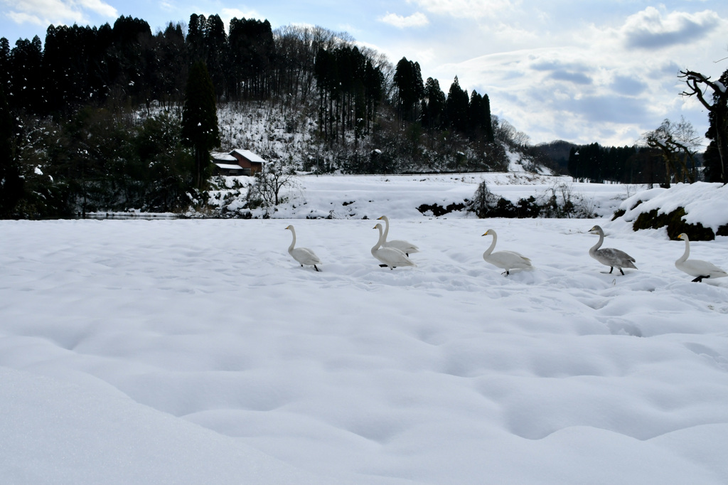 さあ、池に戻るよ〜