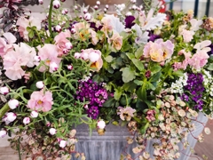 花と緑でウェルビーイング