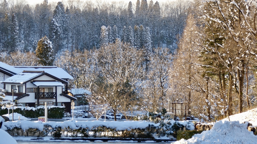 初積雪