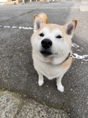 しばし見つめてくれた