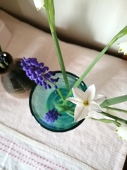 水色コップからこんにちは