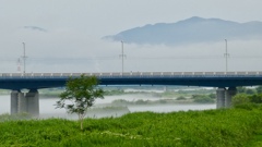 朝霧