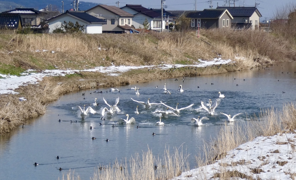 水上舞台にて