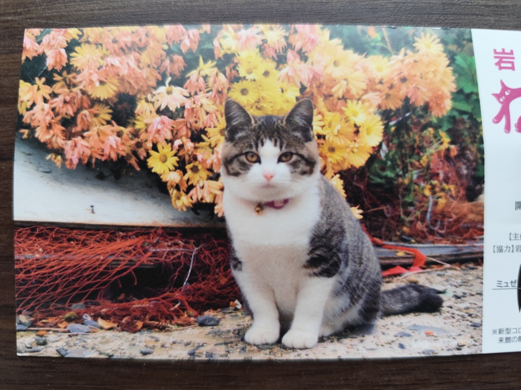 岩合光昭ねこづくし写真展のチケット