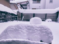 雪たまご…雪いもむし