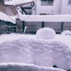 雪たまご…雪いもむし