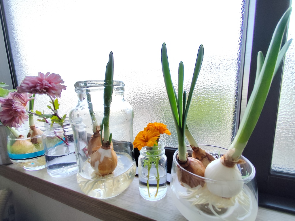 コップで日本水仙…こちらは２階