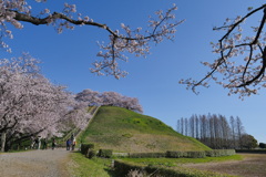 古墳の春