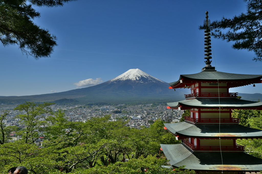 新倉山浅間公園から見た富士山と忠霊塔