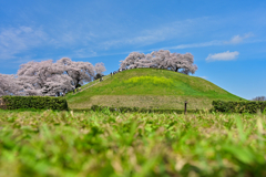 桜咲く古墳