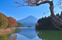 秋　田貫湖